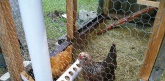 как сделать кормушку из пвх трубы