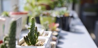 чем отмыть белые полипропиленовые трубы