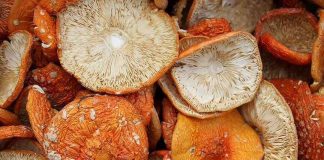 Где купить качественные медицинские товары?