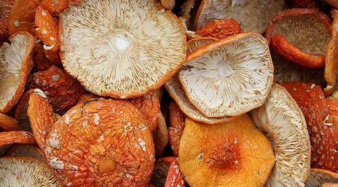 Где купить качественные медицинские товары?