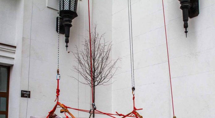 Как промышленные альпинисты поднимают мебель в окно