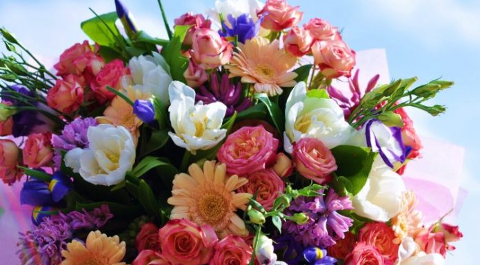 Какие цветы дарить на день рождения?