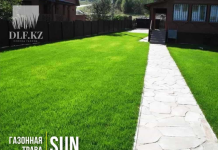 Какие семена выбрать для зеленого газона: советы