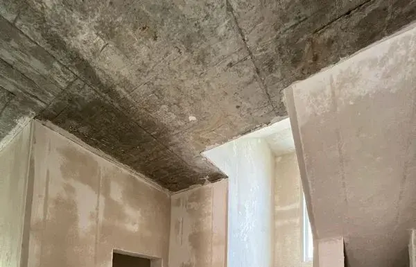 Механизированная штукатурка стен: основные принципы, плюсы