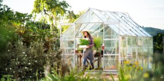 Теплицы: виды, конструкции, плюсы и уход
