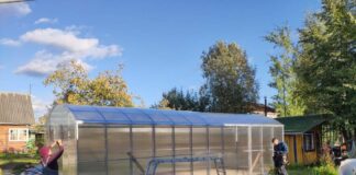 Теплицы из поликарбоната: на что обратить внимание при выборе